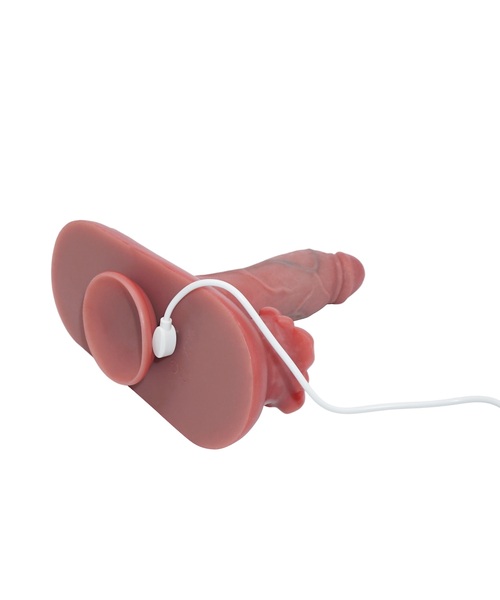 Vibrador com Movimento Vai e Vem, Aquecimento e Controle Remoto – 12 Modos de Funcionamento - Imagem 20