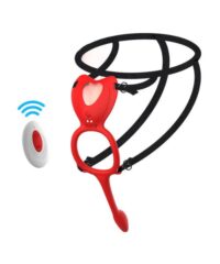 Vibrador Calcinha com Cinta 2 em 1 - Com Estimulador Anal e Controle Remoto - Janice