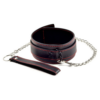 Coleira Bondage Pleasure Collar com Guia – Elegância e Atitude com um Toque de Ousadia - LOVETOY