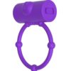 Anel Peniano Vibratório Urso – YOUVIBE Premium com Cápsula Intensificadora