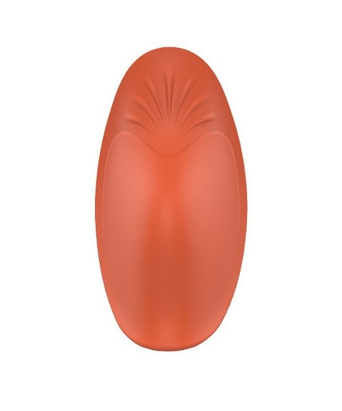 Vibrador de Calcinha com 9 Modos de Vibração, Recarregável e com Controle Sem Fio - Love of Butterflies - RCT - S-Hande - Imagem 5